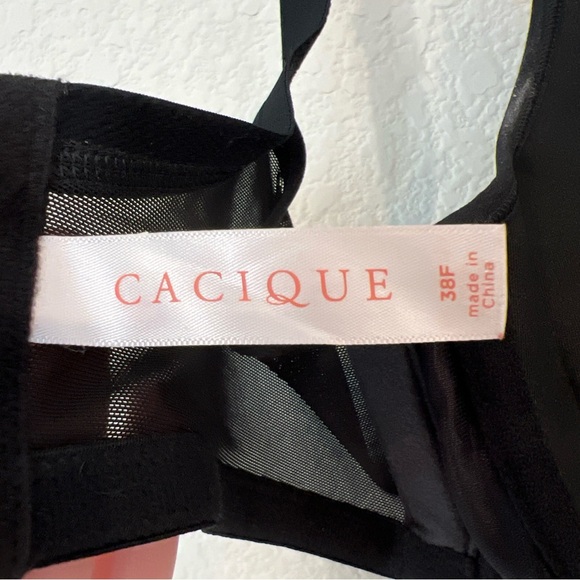 Lane Bryant Cacique Underwire Bra 38F - Picture 4 of 5